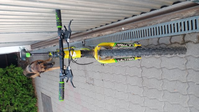 Cannondale F600 SL '04 #313