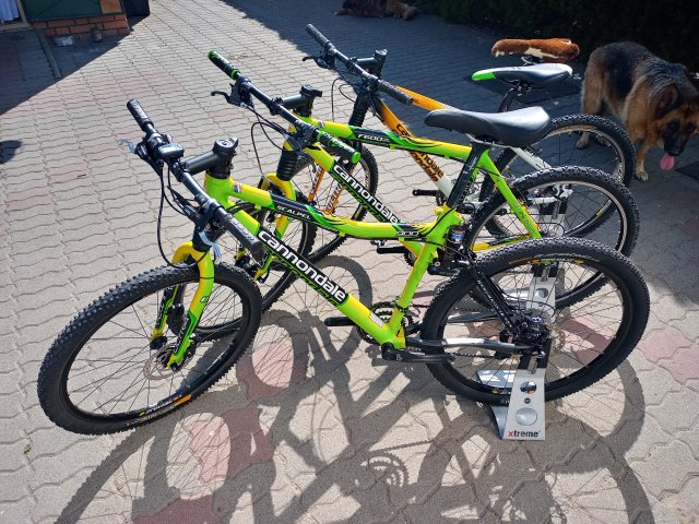 Cannondale F600 SL '04 #336