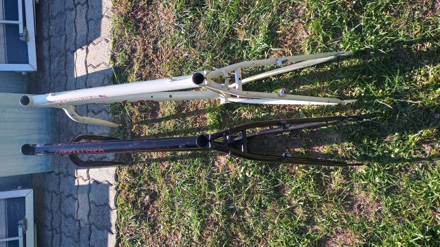 Specialized Stumpjumper '90 #21