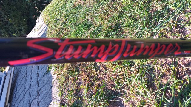 Specialized Stumpjumper '90 #43
