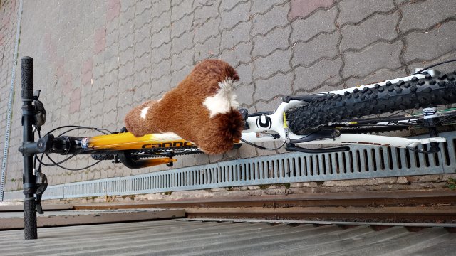 Cannondale F900 SL '01 #181