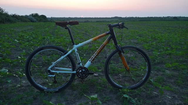 Cannondale F900 SL '01 #192