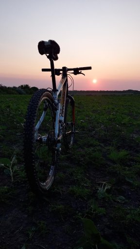 Cannondale F900 SL '01 #214