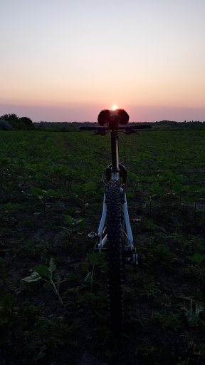 Cannondale F900 SL '01 #215