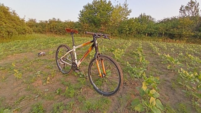 Cannondale F900 SL '01 #283