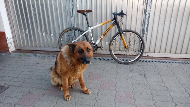 Cannondale F900 SL '01 #300