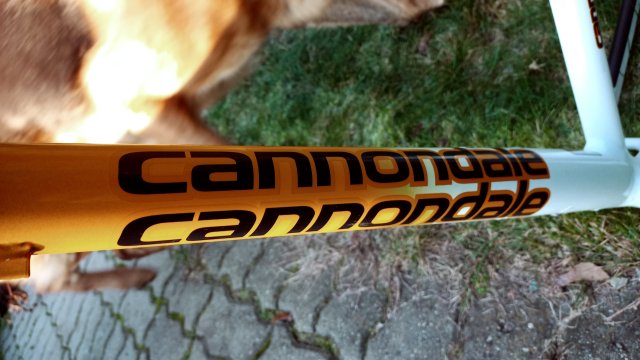 Cannondale F900 SL '01 #52