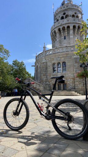 2022- #26