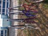 Trek 8700 SHX '95 #26