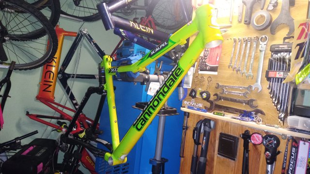 Cannondale Scalpel 900 XC Race '04 #99