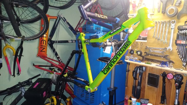 Cannondale Scalpel 900 XC Race '04 #100