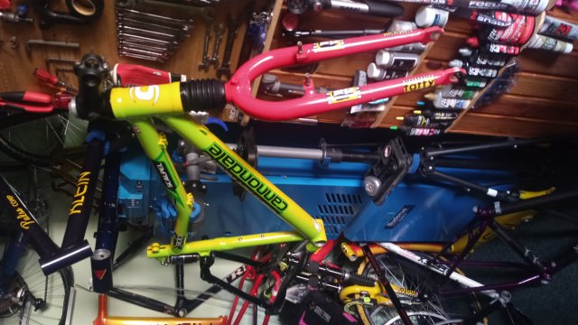 Cannondale Scalpel 900 XC Race '04 #168