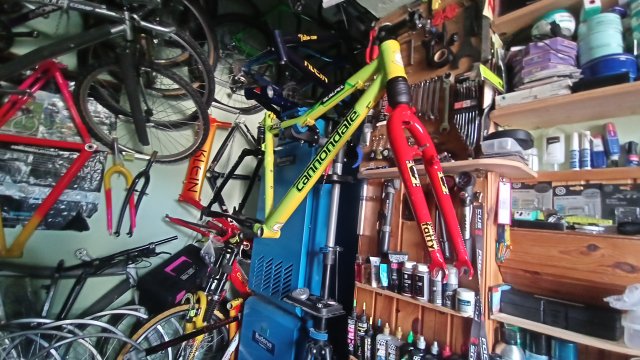 Cannondale Scalpel 900 XC Race '04 #170