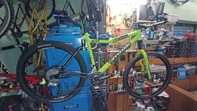 Cannondale Scalpel 900 XC Race '04 #181