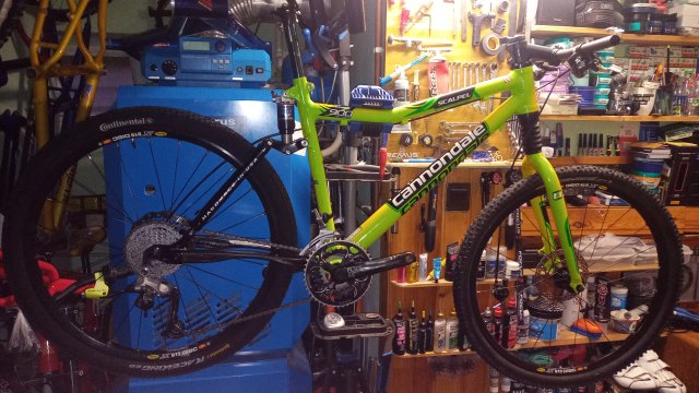 Cannondale Scalpel 900 XC Race '04 #182
