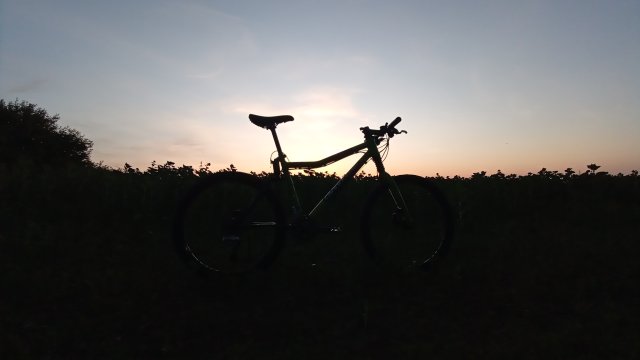 Cannondale Scalpel 900 XC Race '04 #210