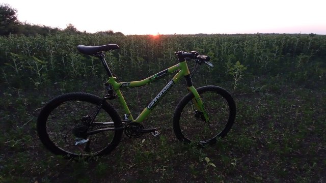 Cannondale Scalpel 900 XC Race '04 #212