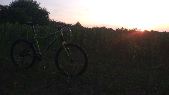 Cannondale Scalpel 900 XC Race '04 #215