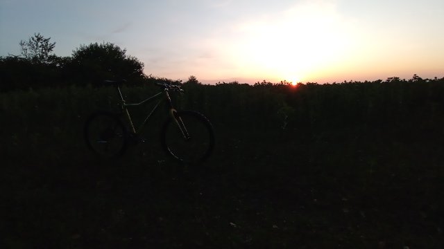 Cannondale Scalpel 900 XC Race '04 #216