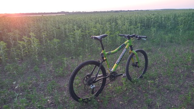 Cannondale Scalpel 900 XC Race '04 #220