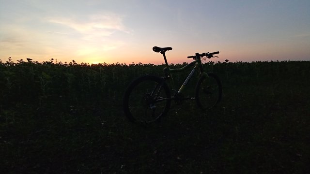 Cannondale Scalpel 900 XC Race '04 #221