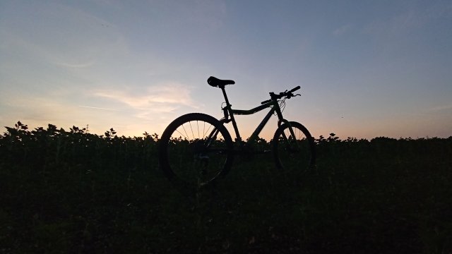 Cannondale Scalpel 900 XC Race '04 #222