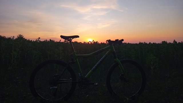 Cannondale Scalpel 900 XC Race '04 #227