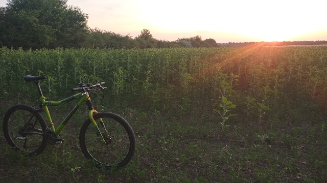 Cannondale Scalpel 900 XC Race '04 #229