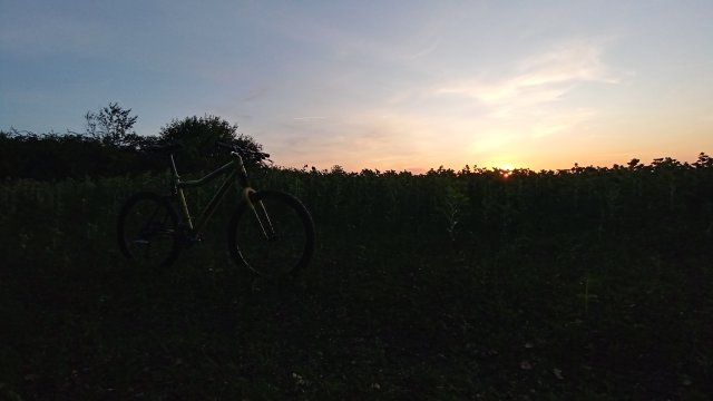 Cannondale Scalpel 900 XC Race '04 #230