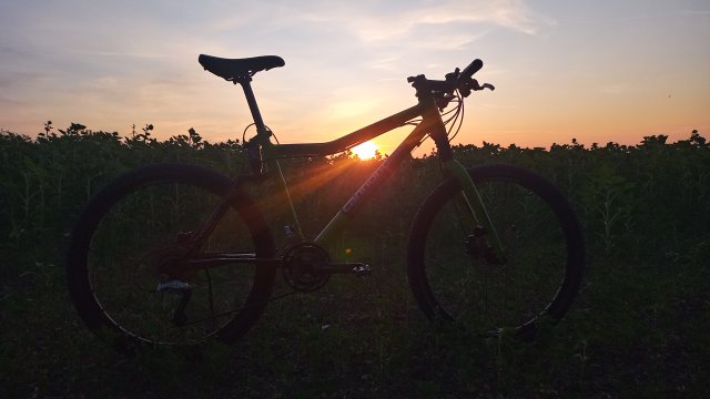 Cannondale Scalpel 900 XC Race '04 #233