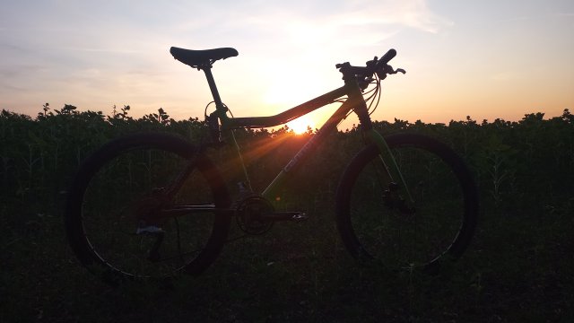 Cannondale Scalpel 900 XC Race '04 #234