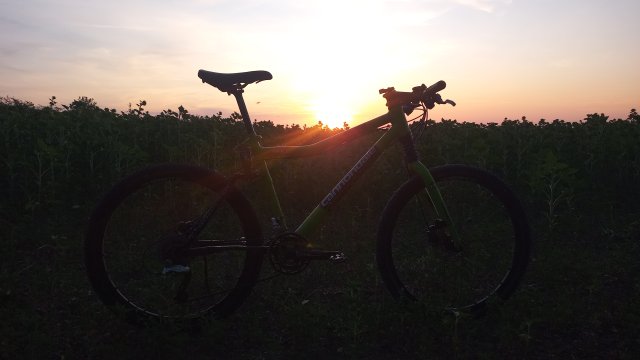 Cannondale Scalpel 900 XC Race '04 #235