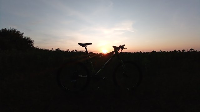 Cannondale Scalpel 900 XC Race '04 #236