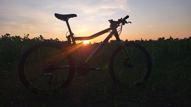 Cannondale Scalpel 900 XC Race '04 #237