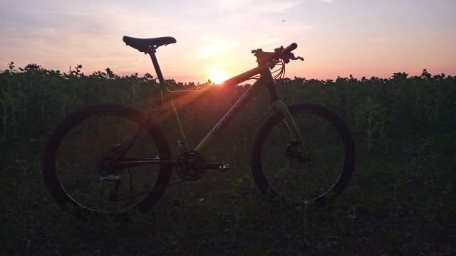 Cannondale Scalpel 900 XC Race '04 #239