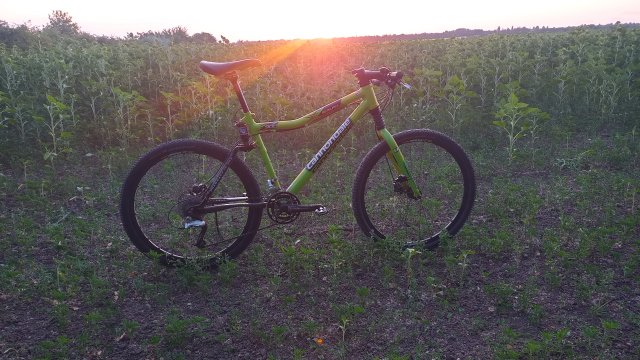 Cannondale Scalpel 900 XC Race '04 #241