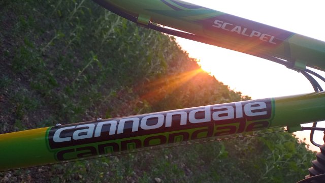 Cannondale Scalpel 900 XC Race '04 #242