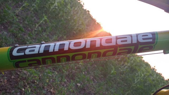 Cannondale Scalpel 900 XC Race '04 #243