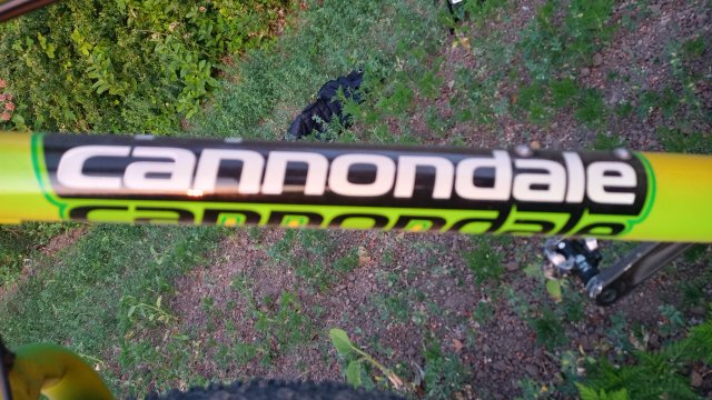 Cannondale Scalpel 900 XC Race '04 #254