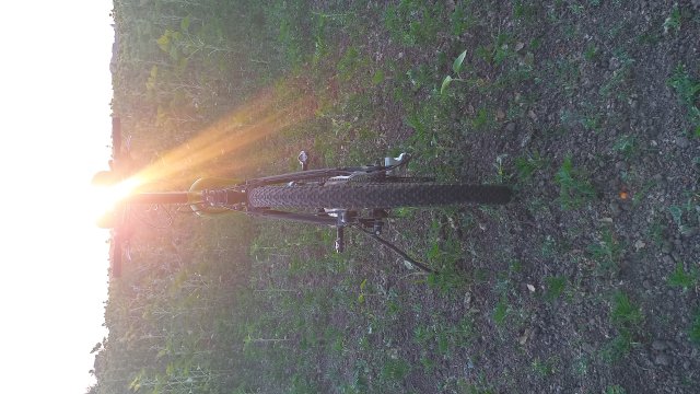 Cannondale Scalpel 900 XC Race '04 #300