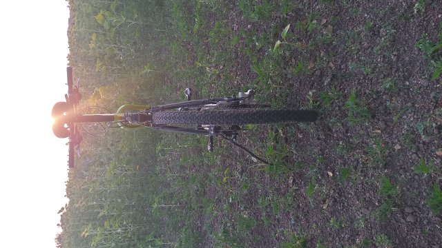 Cannondale Scalpel 900 XC Race '04 #301