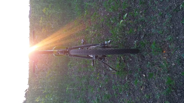 Cannondale Scalpel 900 XC Race '04 #302