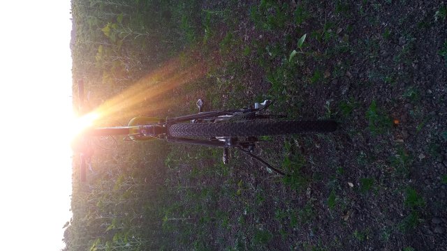 Cannondale Scalpel 900 XC Race '04 #303