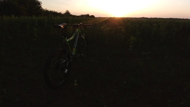 Cannondale Scalpel 900 XC Race '04 #304