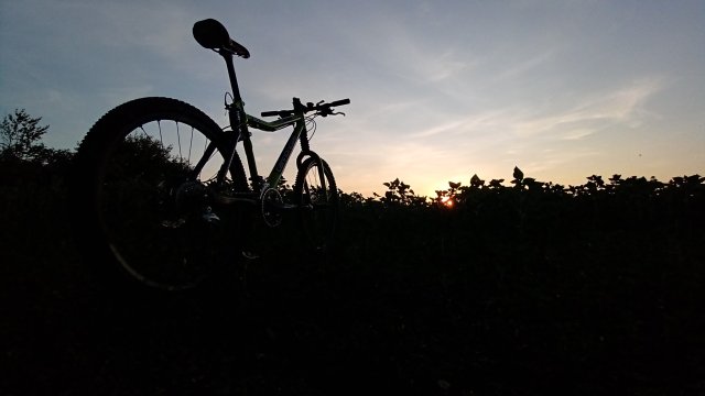 Cannondale Scalpel 900 XC Race '04 #305