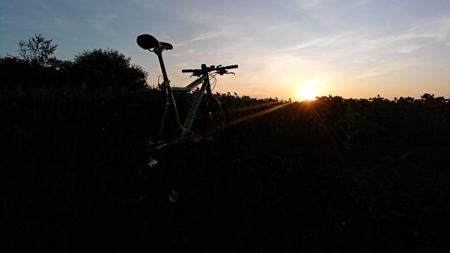 Cannondale Scalpel 900 XC Race '04 #306