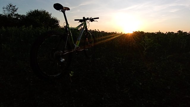 Cannondale Scalpel 900 XC Race '04 #307