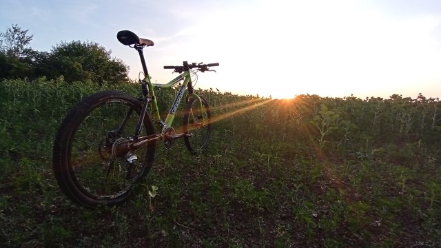 Cannondale Scalpel 900 XC Race '04 #308