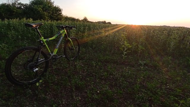 Cannondale Scalpel 900 XC Race '04 #309