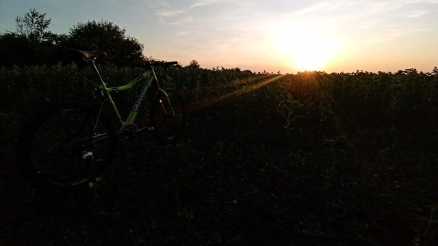 Cannondale Scalpel 900 XC Race '04 #310